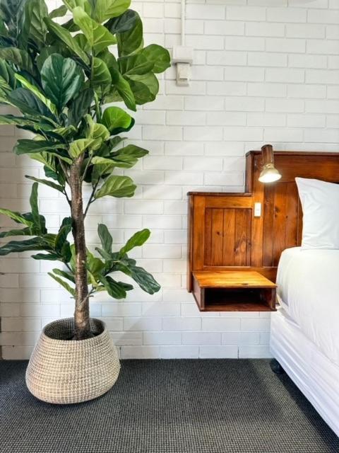 Pacific Sun Bargara Motel ภายนอก รูปภาพ